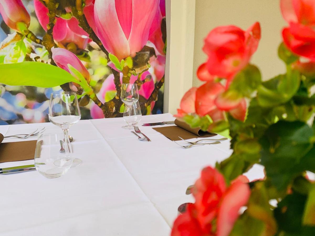 Zu Den Linden - Radebeul Pension Mit Restaurant Экстерьер фото